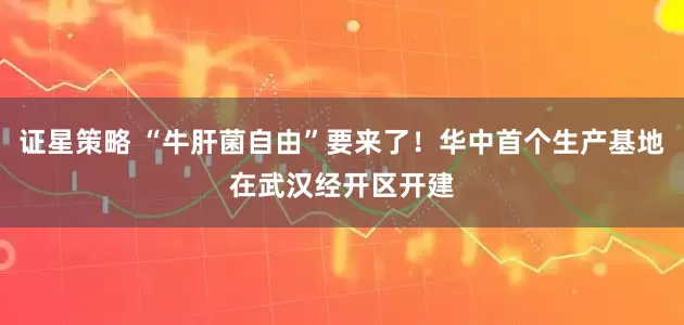 证星策略 “牛肝菌自由”要来了！华中首个生产基地在武汉经开区开建