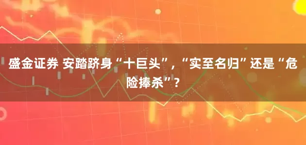 盛金证券 安踏跻身“十巨头”, “实至名归”还是“危险捧杀”?