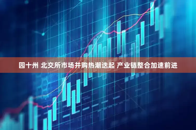 园十州 北交所市场并购热潮迭起 产业链整合加速前进